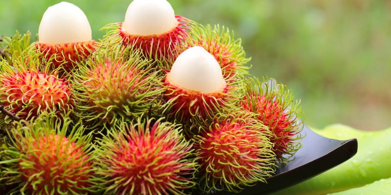 Ăn chôm chôm có tác dụng gì?