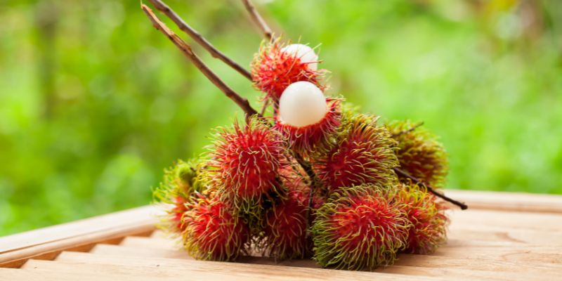 Chôm chôm ăn như thế nào? Cách bảo quản an toàn