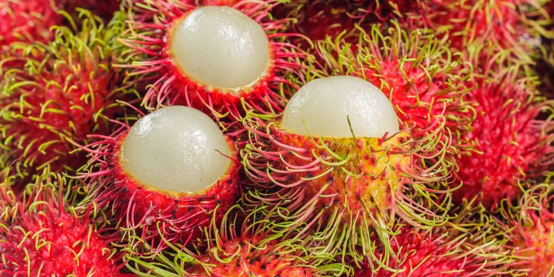 Ăn chôm chôm có tác dụng gì