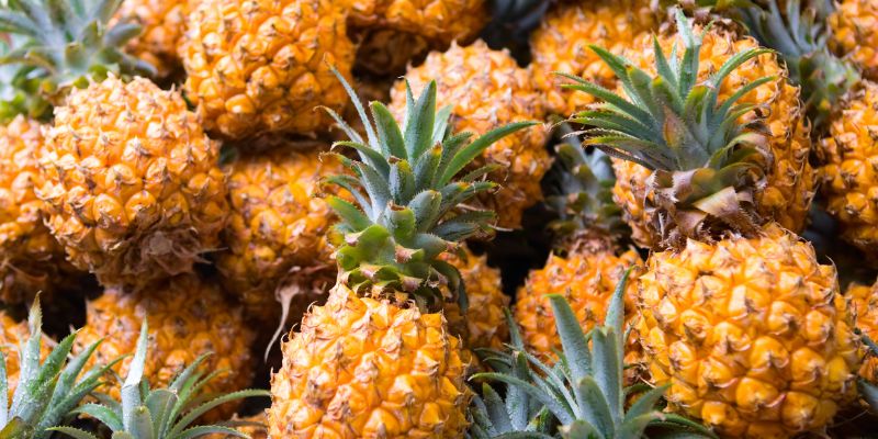 Giải đáp ăn dứa giảm cân không?