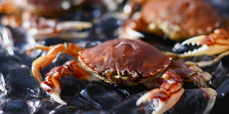 Ăn ghẹ có béo không?