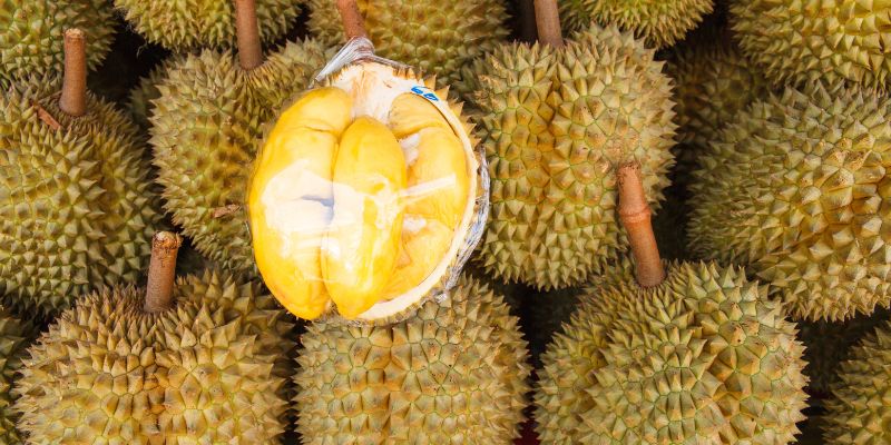 an-sau-rieng-beo-khong