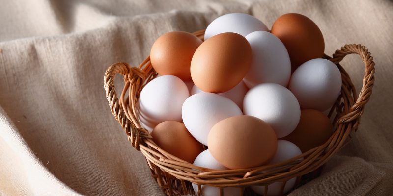 Ăn trứng có tốt không?