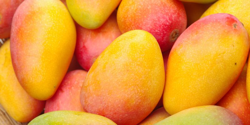 Ăn xoài có béo không