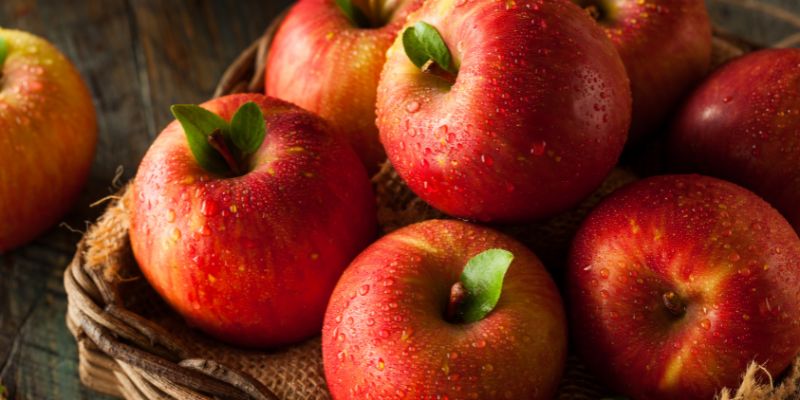 Thành phần dinh dưỡng