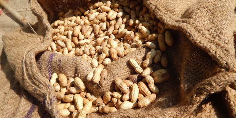 Công thức món ăn đậu phộng giảm cân