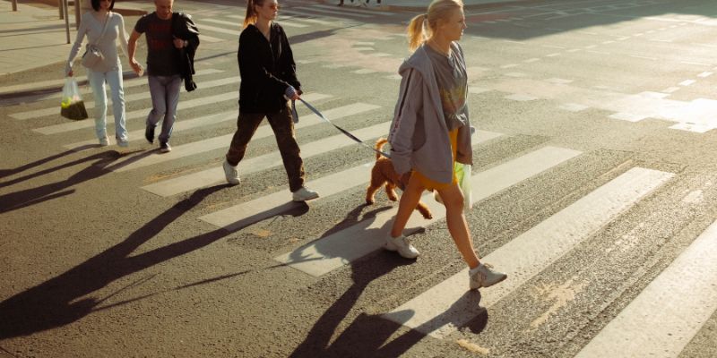 Tăng cường hệ miễn dịch của cơ thể