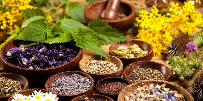 Đông y trị nám da mặt hiệu quả như thế nào?