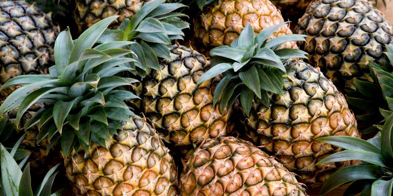 Gợi ý thực đơn giảm cân với dứa