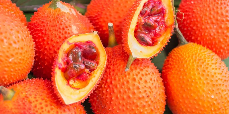 Tìm hiểu về gấc