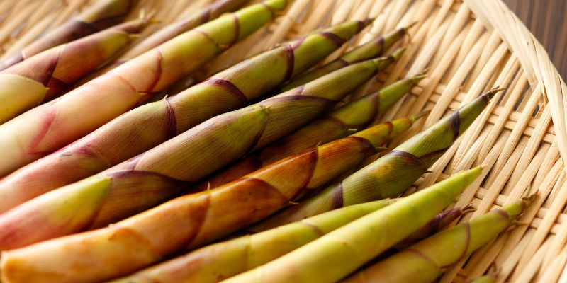 Măng có tác dụng gì?