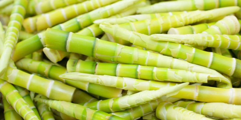 Ăn măng có tốt cho sức khỏe không và ai không được ăn măng?