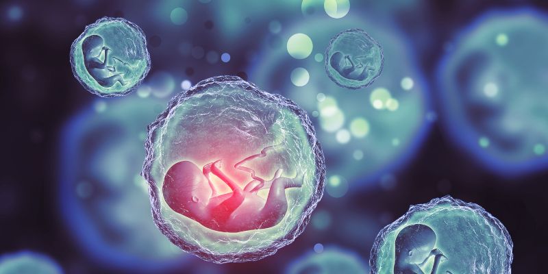 Những thay đổi cơ thể mẹ thường gặp khi mang thai 14 tuần