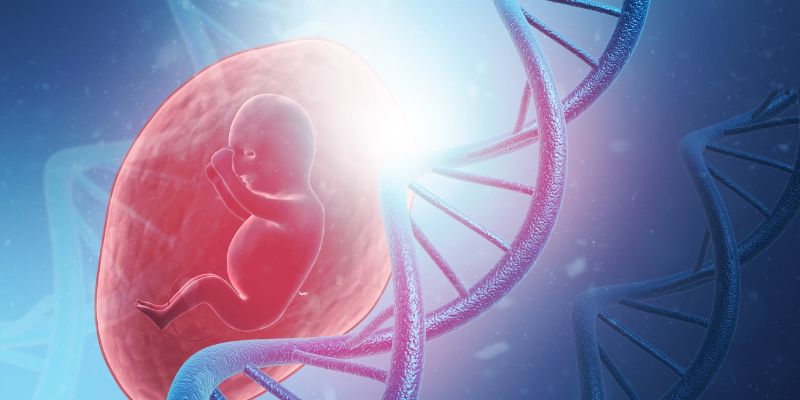 Sự phát triển của em bé khi mang thai 14 tuần