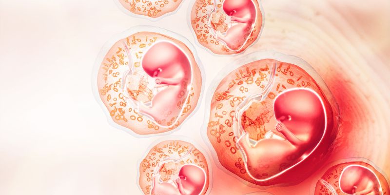 Mẹo chăm sóc sức khỏe cơ thể