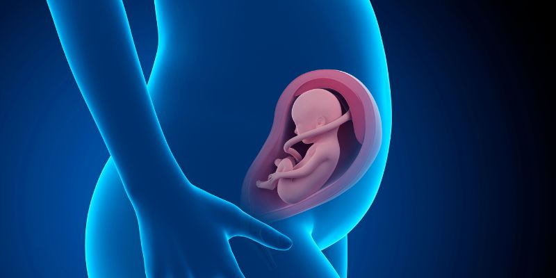 Những thay đổi chung về cơ thể mẹ