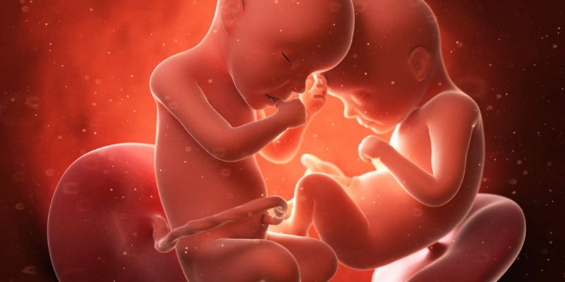 Sự phát triển của con bạn khi mang thai – tuần 34