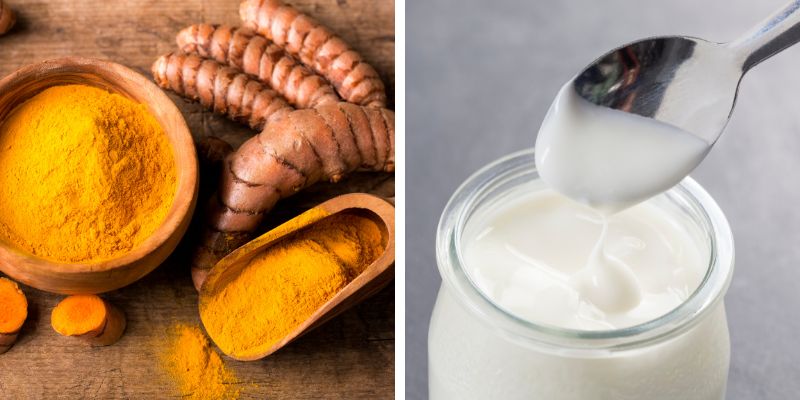 Cách trị nám da chân bằng nghệ và sữa chua