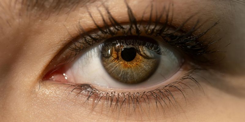 Luận điểm tâm linh về nháy mắt trái