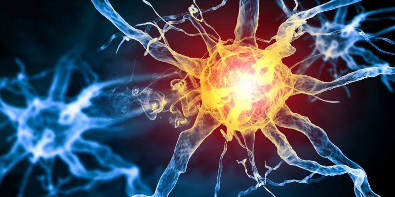 Vậy Gametix F có tác dụng gì?