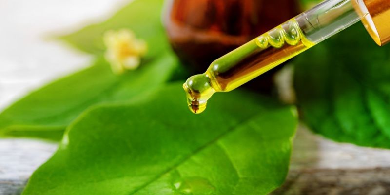 Tinh chất trà xanh