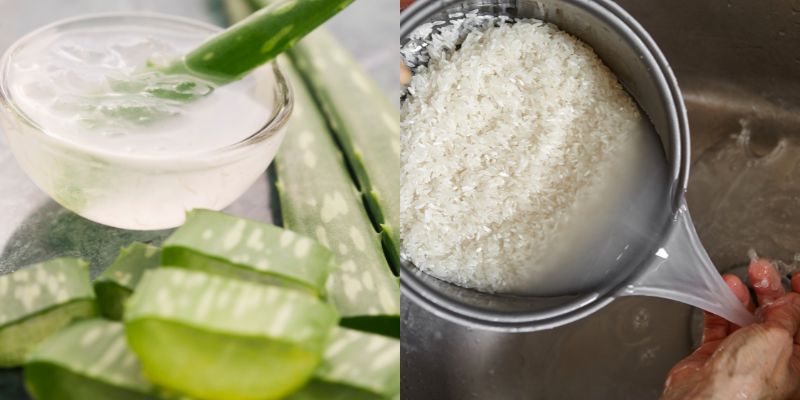 Cách trị nám da bằngmặt nạ nha đam và nước vo gạo